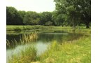Property photo 26 - 160 Acres Offered in 6 Tracts